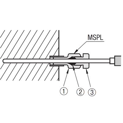 Application for MSPL