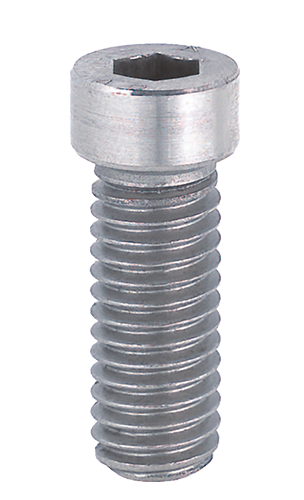 Cylinder head screw