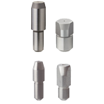 Large Head/Round/P Standard