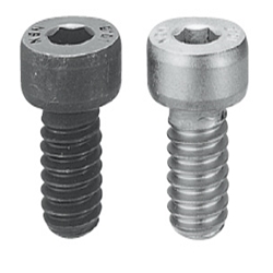 Hex Socket Screws