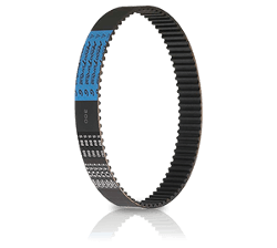 Timing Belts